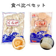 【食用クラゲ 食べ比べ2種セット 2kg】キャノンボール頭 1kg + ミニくらげ 1kg 塩漬クラゲ コリコリ食感 …