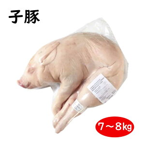 Ⓚ  e ۏĂp ۂ 1C 7`8kg ~NtFbh XyCY  ؓ q؂̊ۏĂɂǂ q Ă o[xL[ p[eBpɍœK ^
