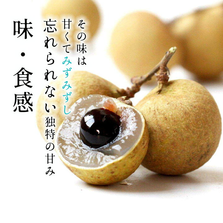 龍眼果物 – 龍眼 特徴 – ALQO
