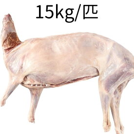 冷凍 皮無し 羊肉 ラム 約15kg/匹 整羊 ホール