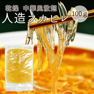 pY lHtJq ؃tJq ltJq 100g U ӂЂ ̃[`HiӂЂX[v ύݗp 퉷i lR|X