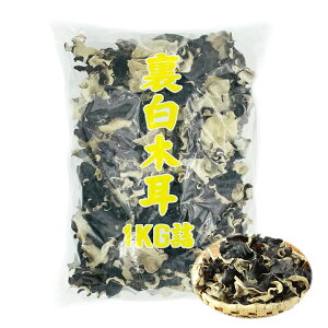  ؎ z[ 5cmUP 1kg 炰 LNQ ؎ 炰炰 e Ɩp Y _