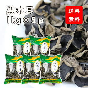 ؎ 炰 1kgx5܁yz  炰  ؎ LNQ z[ؗ uߕ  [gbsO [V[[ ЗAi YE_