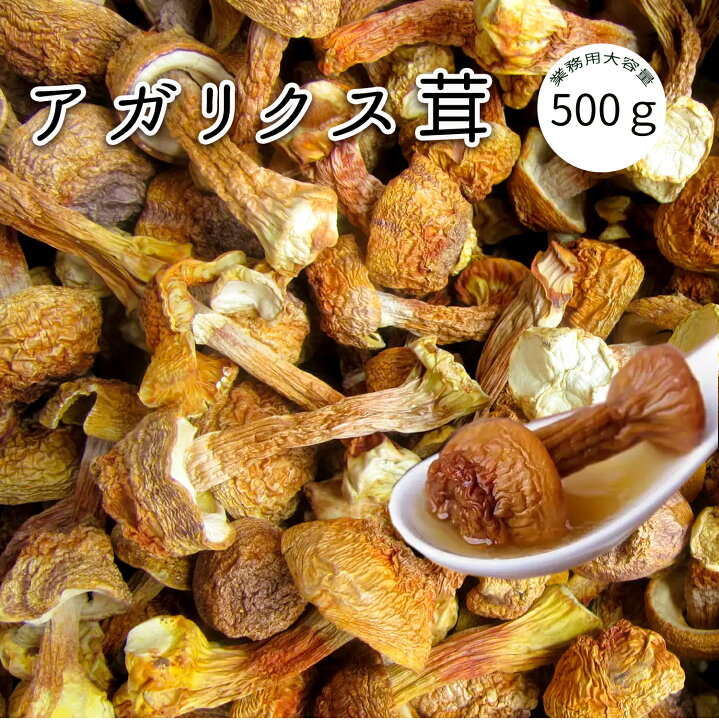 楽天市場】アガリクス茸 アガリクス 500g 乾燥 姫マツタケ 姫松茸 
