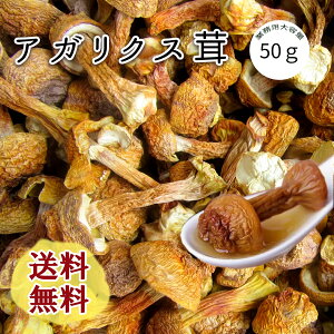 AKNX AKNX 50g  P q}c^P Ɩp Y