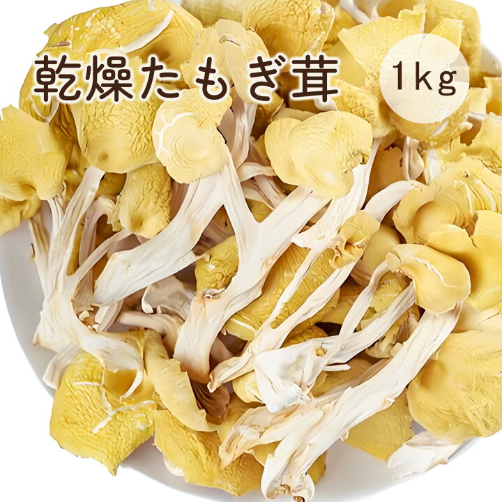 楽天市場】乾燥 たもぎ茸 1000g 中国雲南産 タモギタケ たもぎ茸 たも 