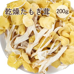   100gx2܃Zbg _Y  ̂̂  ^M^P NHi LmR ̂  -OJ GS`Il X[p[N̂ H@ہE~l