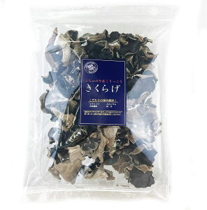 Y 啪Y ؎ 炰 100g _ Y h{ H@ R[Q ₷  ؎ LNQ z[    ؗ wV[ ޗ