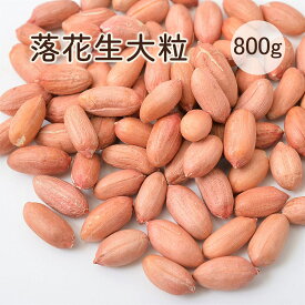落花生 ピーナッツ 生 大粒 800g 生落花生 生ピーナッツ 殻なし うす皮付き 無添加 無塩 無油 おつまみ 生タイプ 落花生の実 生花生米 大粒花生米 花生米 調理前のなま落花生