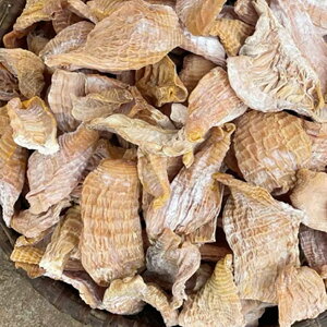 Y  |̎q 200g Џ@| E\E`N   ق ^PmR ̂ ϕEuߕEX[vɍœK