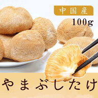 乾燥 ヤマブシタケ 山伏茸 中国産 激うま キノコ ヴィーガン食材 博士ちゃん 食物繊維やミネラル・ビタミ…