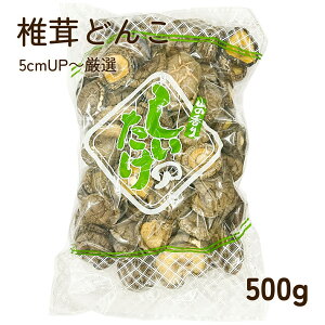 mY ő ǂ 5cmUp 500g  VC^P ő  o`  ϕ ő̃Xe[L e Ɩp i Iiiǂ 5cmUPIʁj13܂ł̂ 
