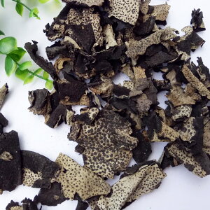 VR   C^P 1kg 킽 V R̒ R i nߗ J[ H@ۂLx H V ϕ zɍœK