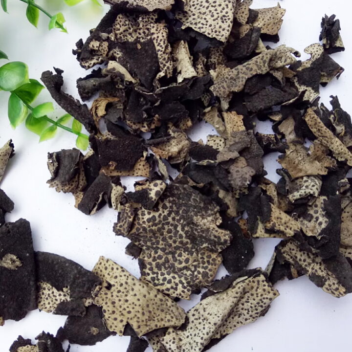楽天市場】天然 乾燥 岩茸 イワタケ 1kg いわたけ 天日干し 山の珍味 