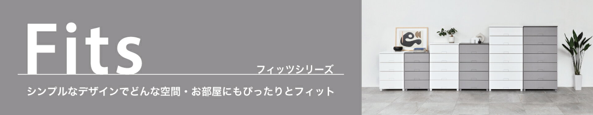 フィッツプラスシリーズ