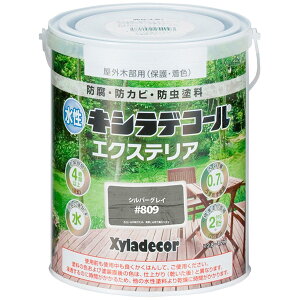 KXP~J LVfR[GNXeA 0.7L Vo[OC #809@@@ϋv h hJr h JynsI@