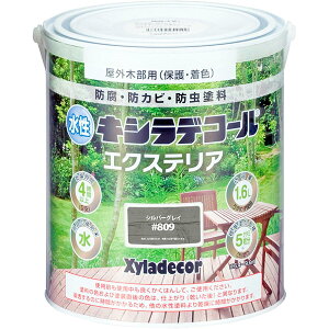 KXP~J LVfR[GNXeA 1.6L Vo[OC #809@@@ϋv h hJr h @