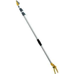 yzTV } y|[Xz 3i Arn 336