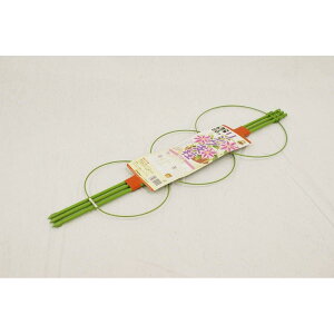 DAIM(rj[) Ox 60cm @|x ƒ؉ ǂ 6`7p