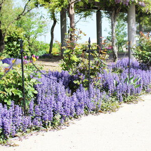 DAIM(rj[) K[f`F[|[ 1i ubN 70cm×4m H-85@tFX Ԓd Ő Nh~