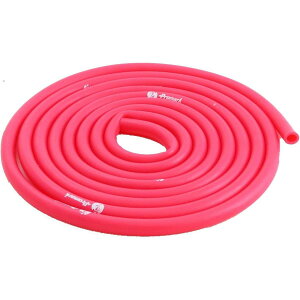 �T�N���C�f�� PROMARK (�v���}�[�N) �g���[�j���O�`���[�u ���x��2 TPT0039�@���ԗ��i���ďC�g���[�j���O�}�j���A���t �싅