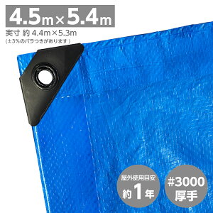 u[V[g  Ki 3000 ^Cv ď 4.5×5.4m |Jng R[i[pbh ЊQ J QJ 䕗 Q  JR Z  C