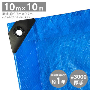 ブルーシート モリリン 規格 #3000 厚手タイプ 呼称 10×10m ポリカハトメ コーナーパッド 災害 大雨 ゲリラ豪雨 台風 水害 作業 雨漏り 浸水 復旧 補修