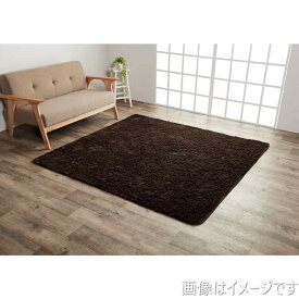 【i】【代引不可】イケヒコ ラグ カーペット 3畳 無地 フィラメント糸 フィリップ ブラウン 約200×250cm ホットカーペット対応【北海道・沖縄・離島不可】