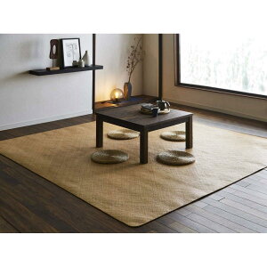 yIzyszCPqR ِԑドO  ]ˊ4.5(261×261cm) 5209420 VR^ ق J[ybgykCEEsz