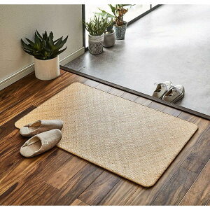 �yI�z�y����s�z�C�P�q�R �ِ��ԑド�O�}�b�g ��� ��50×80cm 5209710 �V�R���^�� �ق����� ���փ}�b�g�y�k�C���E����E�����s�z