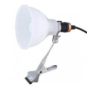 V EARTH MAN Jo[t LED NbvCg 7W CLT-7LB hH ^Cg ԍ S840lm LEDCg Ɠ