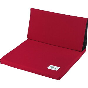 SOFT99 (\tg99) T|[gNbV {fBhN^[ 3D }`tBbg|g _[Nbh 02524