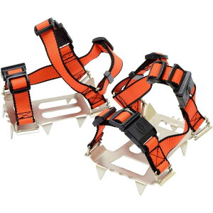 V EARTH MAN a K[fXpCN  Ζ   R؍̂ dbN@\t XpCN