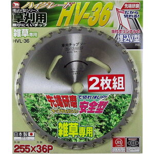 oN} p `bv\[ HV-36 2g 255×36P HVL-36 2P `bv\[  G