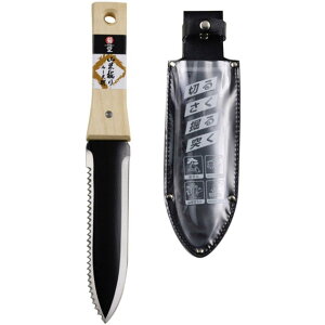 V e Rؖx P[Xt } Lv R | ڐA ڐASe ڐt TAKAGI