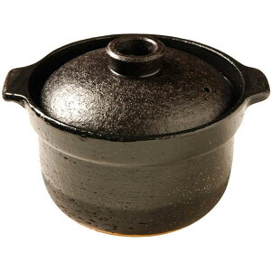 Rinnai p ѓy ܂ǂ 2.5  RTR-20IGA2 iC