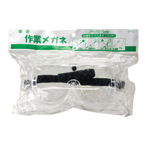 V | ƃKl ی상Kl  }؂ uEWo@ | Kl܂ TAKAGI