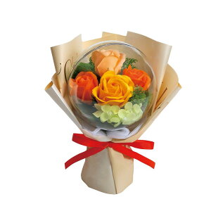 y݌ɗLE[z\[vt[ I[u[Yu[P IW FDC3NORO JvZu[P Mtg v[g u[P j ̓ a t[\[v