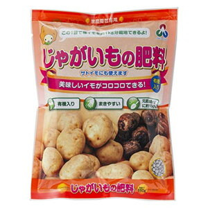 H Ⴊ̔엿 550g