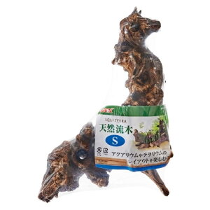 GEX(WFbNX) VR S 20`30cm@ANAE  CAEg  eE