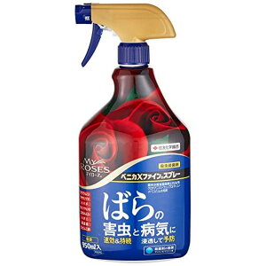 ZFw| xjJXt@CXv[ 950ml