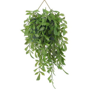 yIzsf tFCNO[ CeAO[ NWNV ݂艺 nMO |bg lϗtA 41124