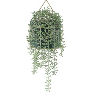 yIzsf tFCNO[ CeAO[ ~JdLlbNX ݂艺 nMO |bg lϗtA 41126