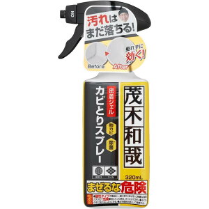 bN Ζؘa p JrƂ  WFXv[ 320ml (ꂸɕǖʖ) Jr΍ hJr  JrWF