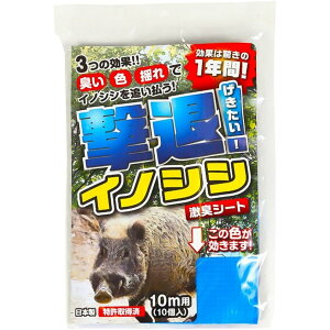 vXu CmVV΍ ރCmVV 10mp 10 hL  ΍ hb N L Qb 