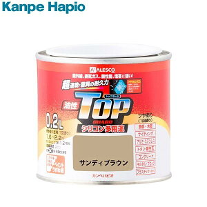 JynsI yL h  ₠ VR pr  ю~ߍܓ gbvK[h TfBuE 0.2L h {