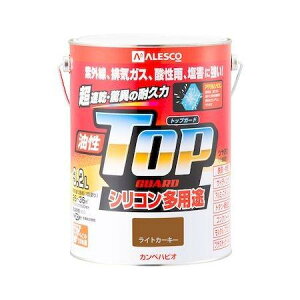 JynsI yL h  ₠ VR pr  ю~ߍܓ gbvK[h CgJ[L 3.2L h {