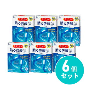 y݌ɗLE[z ܂Ƃߔԉ ߂Y \Y_WFpbN FOOT 6 x_[~g̍×6Zbg {@pV[g