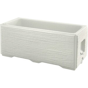 yIzy@lzb`F ^Ev^[WS 100^ т ThO[ e ʋ@\tykCEE zsz