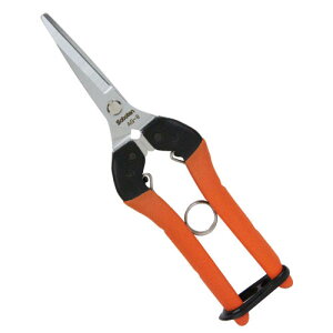 T{e ؂͂ AG-8  ʎ n E |pi _Ǝ